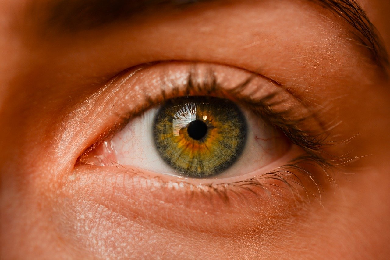Oczy to wyrafinowany organ. To dokładnie dzięki nim spostrzegamy.